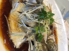 清蒸桂鱼-双井轩(双井店)