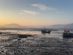 -北岐滩涂