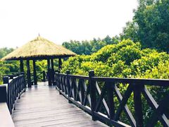 -大亚湾红树林城市湿地公园