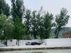 -向外鱼乐·土菜·虹鳟鱼