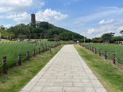 -红花山公园
