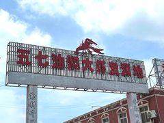 -五七小李子油焖大虾(总店)