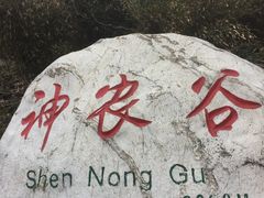 -炎陵县神农谷国家森林公园