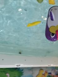 -贝爱妈咪科技美容产后修复(大悦城店)