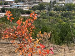 -白水寺森林公园