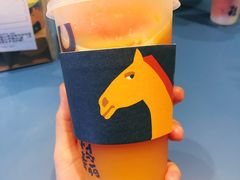 -春丽小马(济南恒隆广场店)