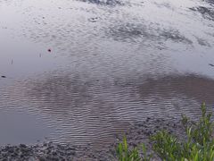 -北岐滩涂