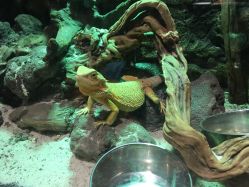 点击看大图 -宝燕乐园(闵行旗舰店)