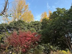 -潮府馆·非遗潮州菜·世纪公园(新国际博览中心店)