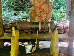 -本溪汤沟绿石谷森林公园