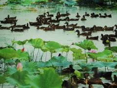 -泗洪县文化艺术中心