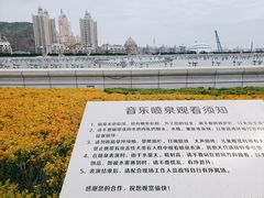 -星海广场