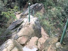 -南山植物园
