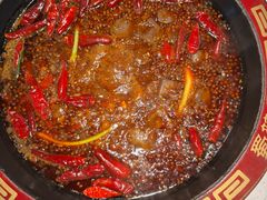 -蜀辣居鲜货老火锅(万象城店)