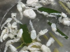 -章记正宗南岗鱼蛋火锅