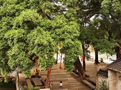 -烟桥私房菜馆(奋哥)