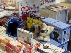 -南宁国际会展中心