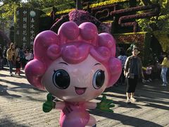 -汇龙潭