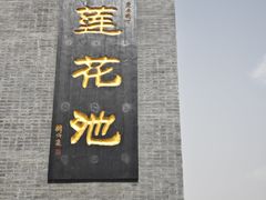 -莲花池公园