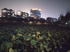 -南关北海公园
