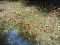 -竹泉村旅游度假区