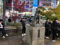 -涩谷全向十字路口