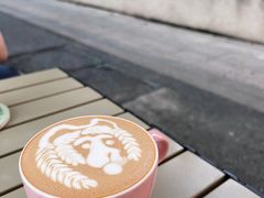 -SAFARI COFFEE