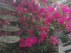-楠柏弯休闲山庄(梨花溪店)