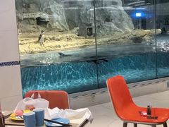 -帝企鹅自助餐厅•儿童岛•真企鹅(长隆企鹅酒店)