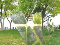 -上海共青森林公园