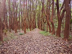 -同里国家湿地公园