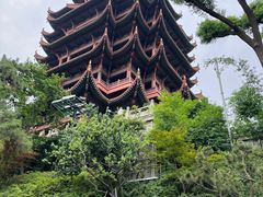 -黄鹤楼公园(黄鹤楼)