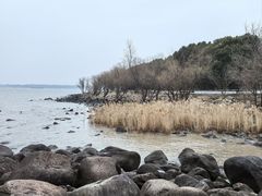 -上海吴淞炮台湾国家湿地公园