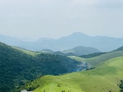 -大姆山草场