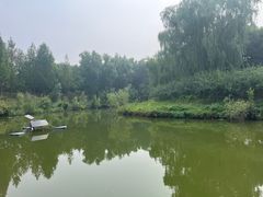 -大兴滨河森林公园