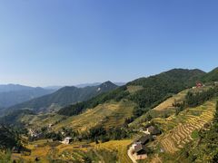 -紫鹊界梯田景区