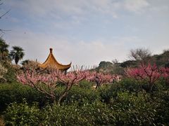 -雨花胜境