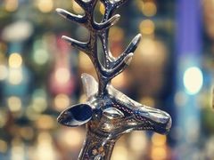 -新疆国际大巴扎