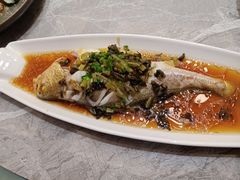 -老绍兴养和饭店(向阳不夜城店)