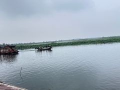 -白洋淀景区