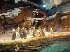 -波塞冬旅游度假区