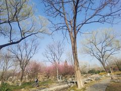 -石家庄市植物园