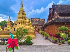 -西双版纳傣族园