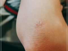 -妈阁铭记澳葡美食