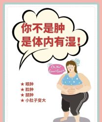 -Fundi张玉珊修身堂·indiba·BTL科技瘦身