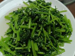 蒜蓉茼蒿-林之六八·6886大连老菜馆