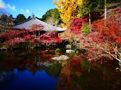 -醍醐寺
