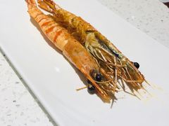 -九府羊·鲜羊火锅·烤串(新华路店)