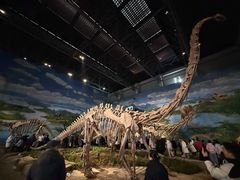 -自贡恐龙博物馆
