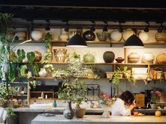 -自由生长植物工作室(深港花卉中心店)